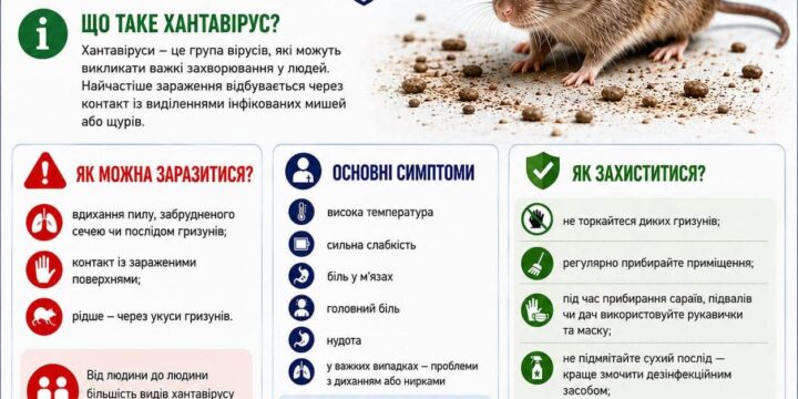 Хантавірус: що треба про нього знати?