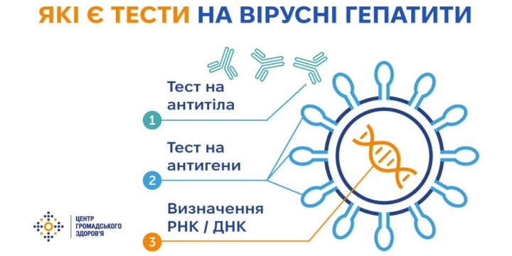 Діагностика вірусних гепатитів В і С: види досліджень і про що вони можуть «розповісти»